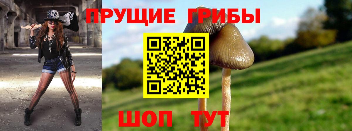 купить закладку  Вход с VPN  Галлюциногенные грибы прущие грибы  Ялуторовск  Псилоцибиновые грибы ЛСД 